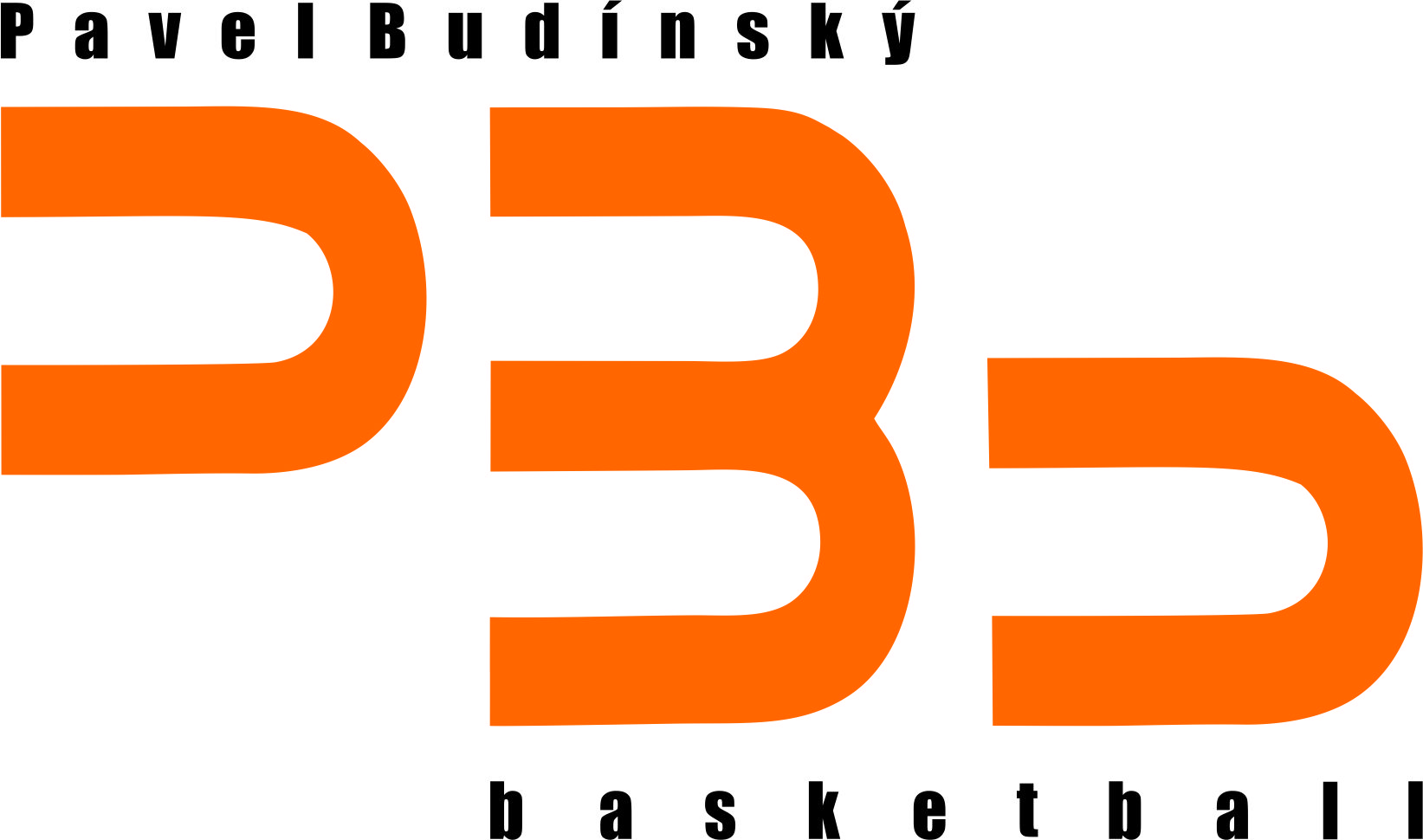 Pavel Budínský basketball